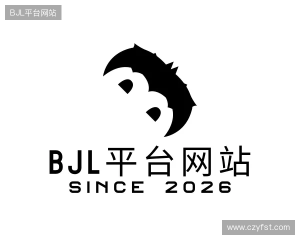 关于BJL网址